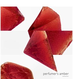 L'Ambre des Merveilles - Eau de Parfum L'Ambre des Merveilles - Eau de Parfum